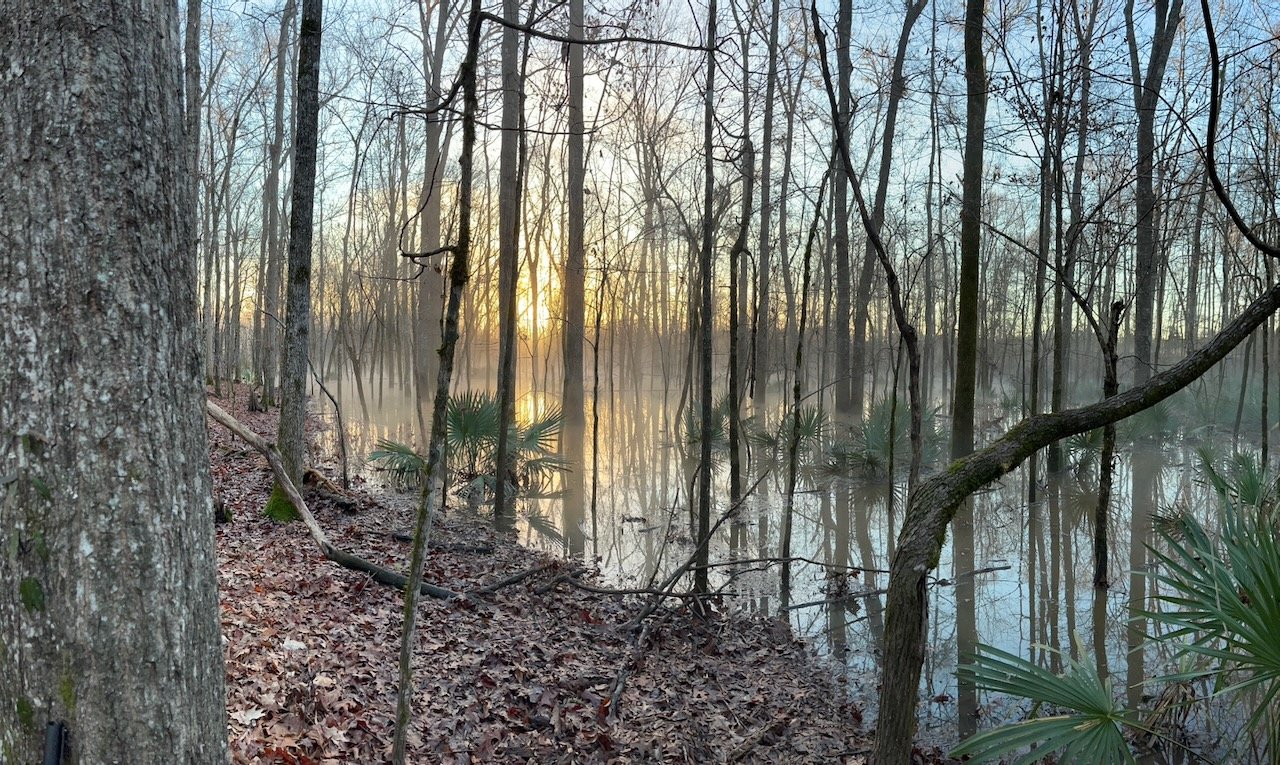 Rural land in Alabama