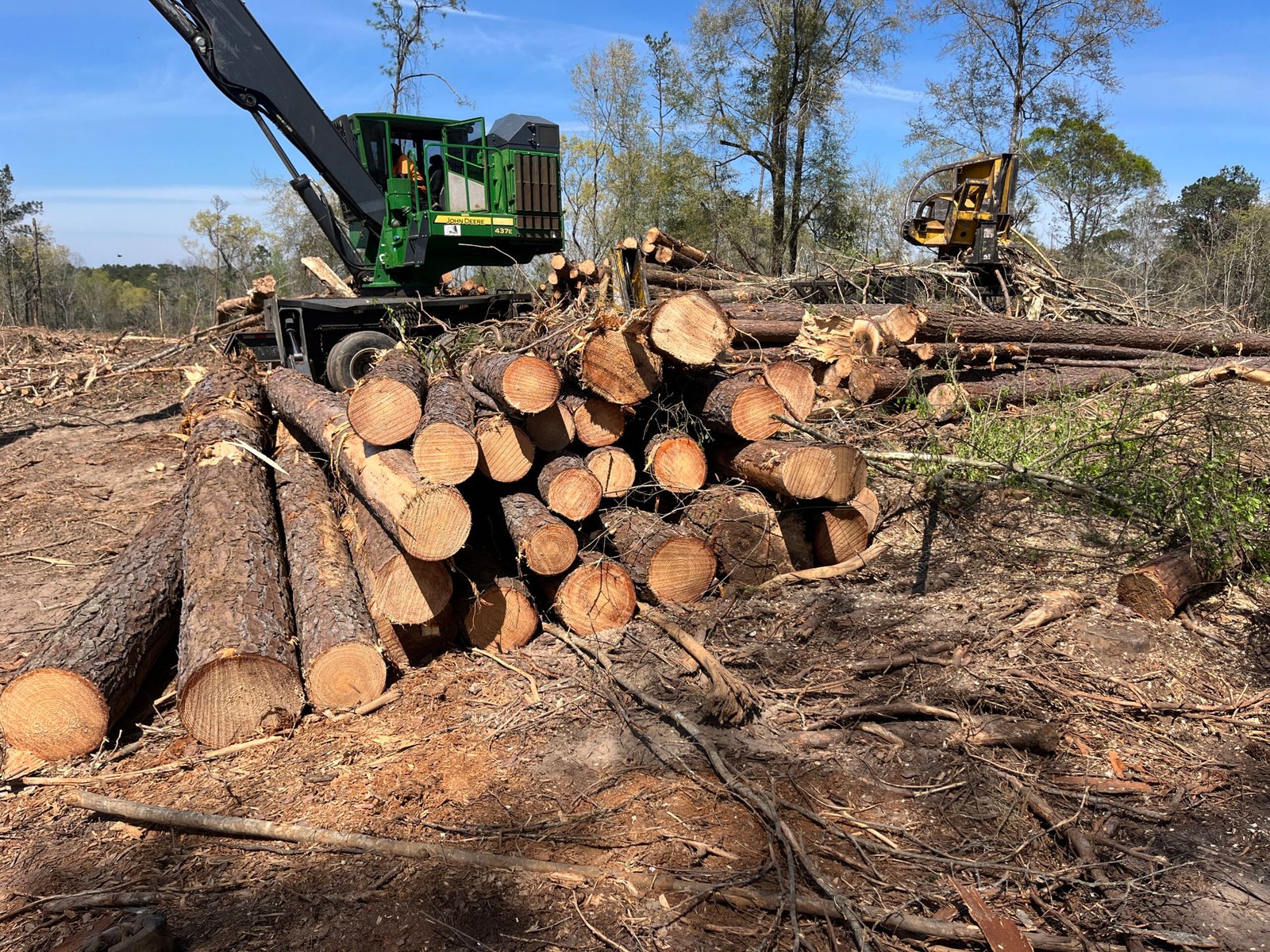 Cut timber and logging equipment at a harvest site