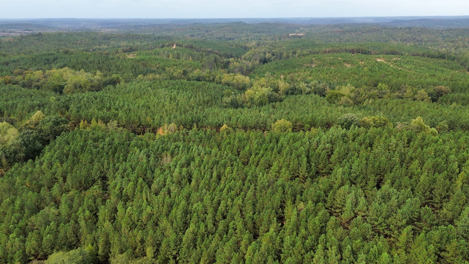 Aerial view across a forested rural landscape